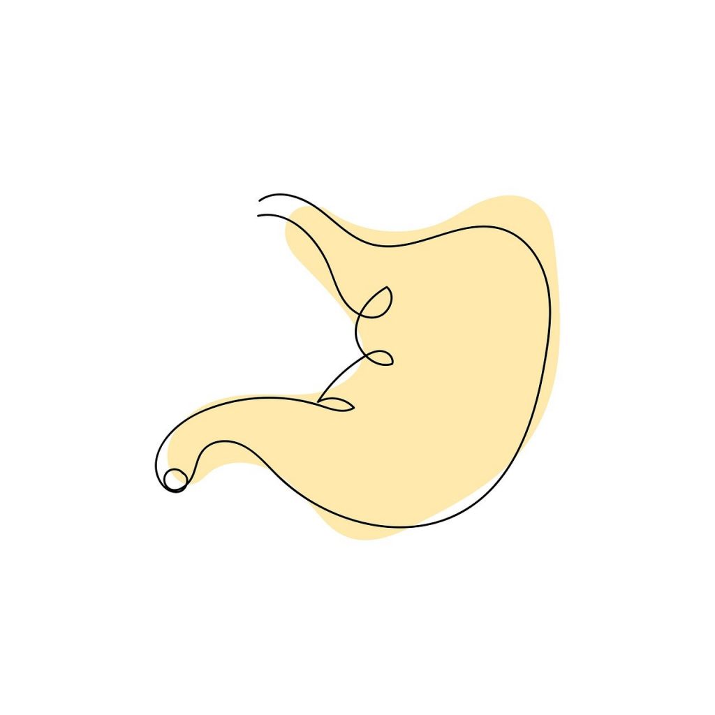 Adipositaschirurgie, Dysphagie, Magenerkrankung, Metabolisches Syndrom, ...