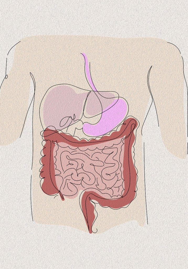 Magen- und Darmerkrankungen, Divertikulose, Colitis ulcerosa, Morbus crohn, Pankreaserkrankung, Speiseröhrenerkrankung, Cholangitis, Cholelithiasis, Gallenerkrankung, Hyerurikämie, Gicht, Hypothyreose, Hyperthyreose, Nephrologische Erkrankung, Onkologische Erkrankung ...